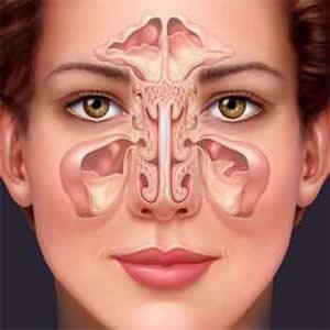 nose role in body health